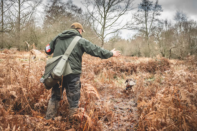 trialling springers