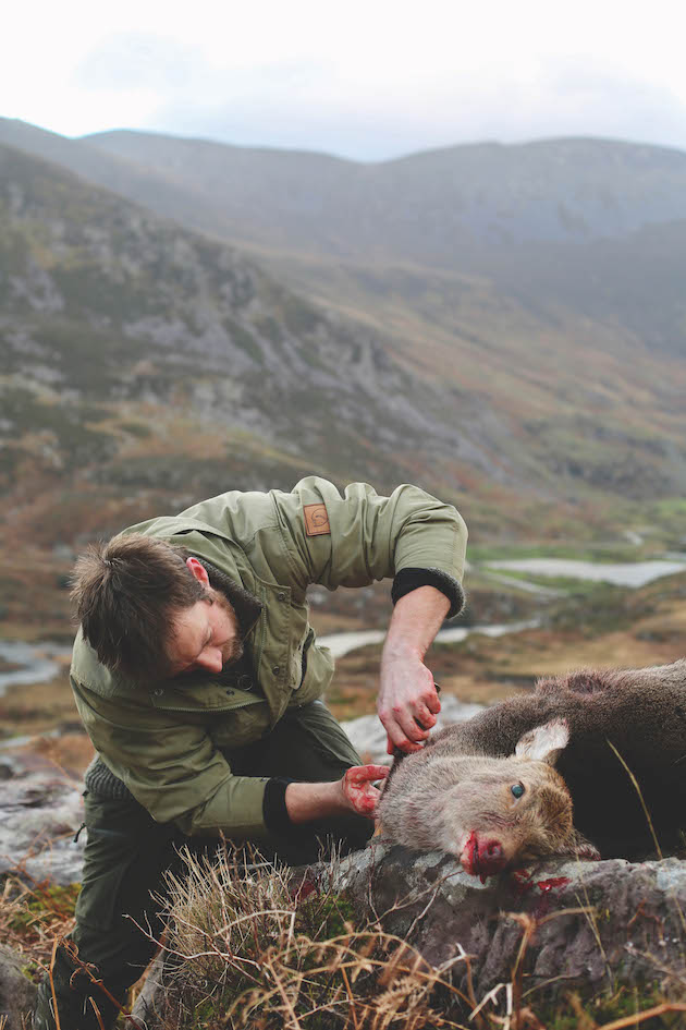 Field dressing a deer