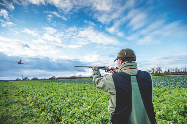 Small bore shotguns: threatened by the demise of lead? - Vimarsana News