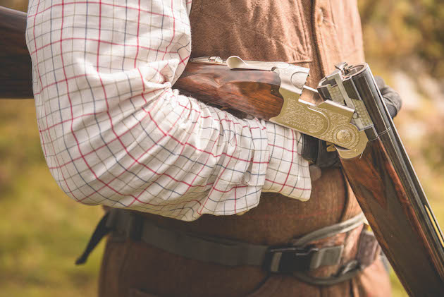Beretta Silver Pigeon