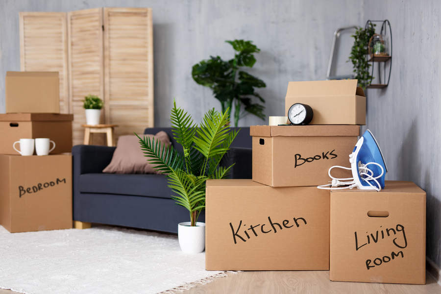 Moving house and gun certificates - this is what you need to know - Vimarsana News