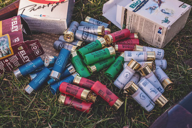 Shotgun cartridges for pigeon shooting - testing budget options - Vimarsana News