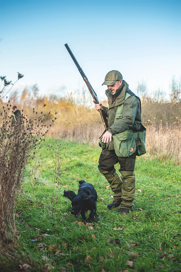 cocker spaniel out shooting
