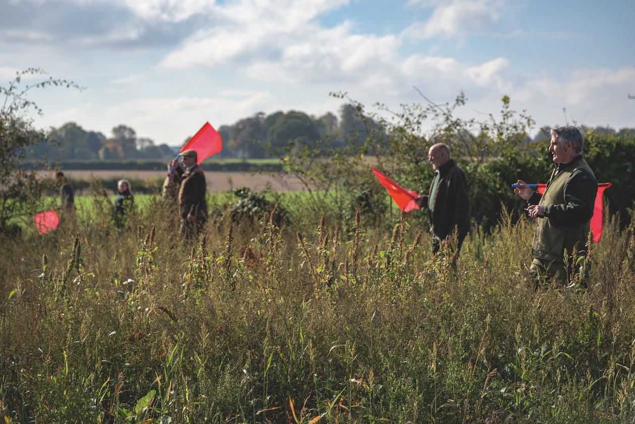 Waving flags on a shoot