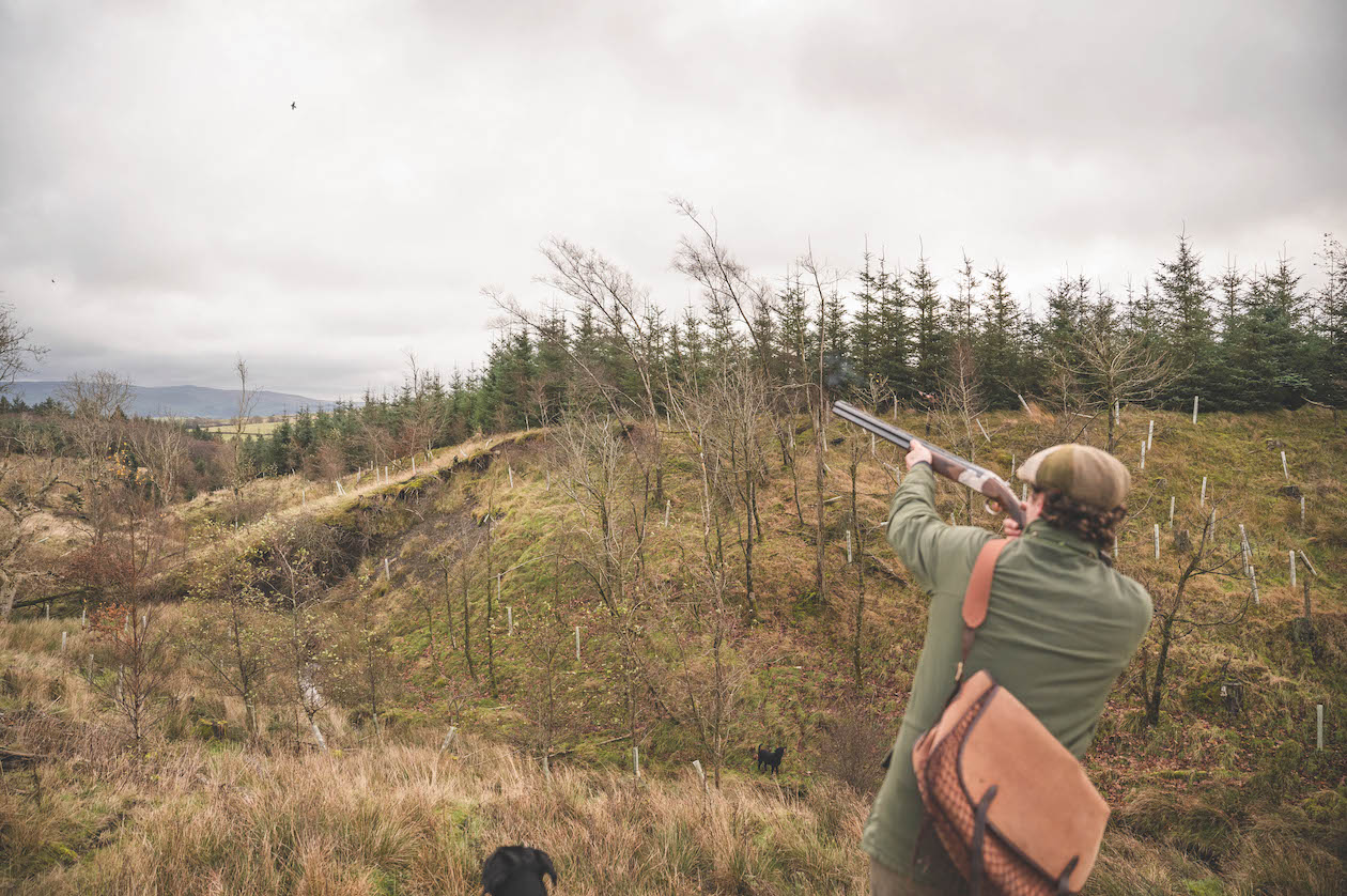 How we ensure shooting's future - Shooting UK - Vimarsana News