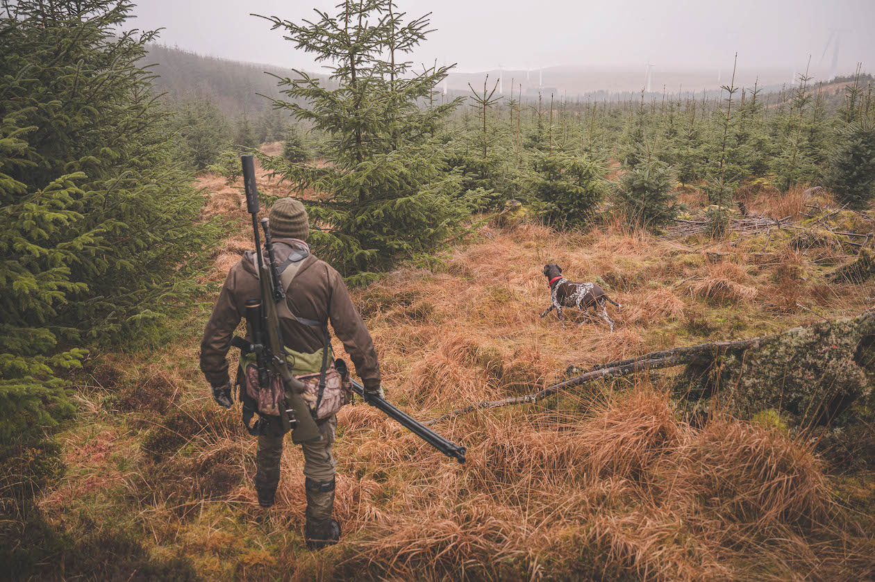 Deerstalking