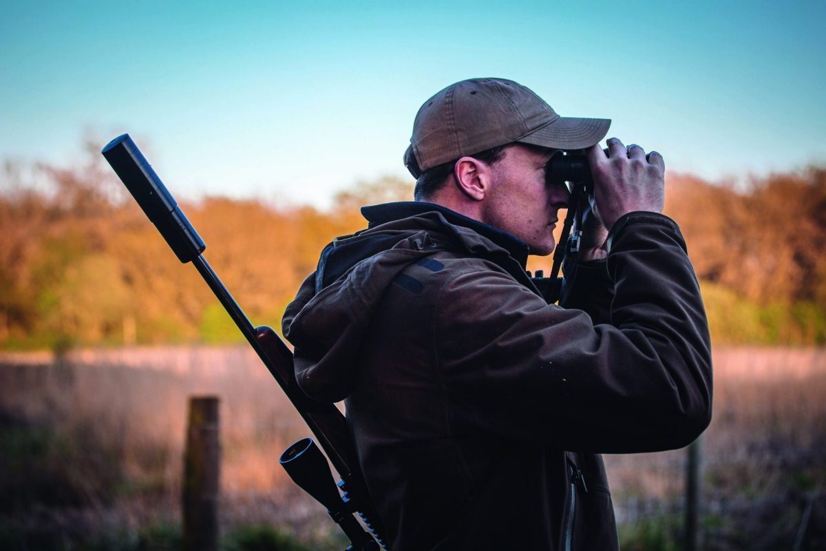 Stalking fallow deer - Shooting UK - Vimarsana News