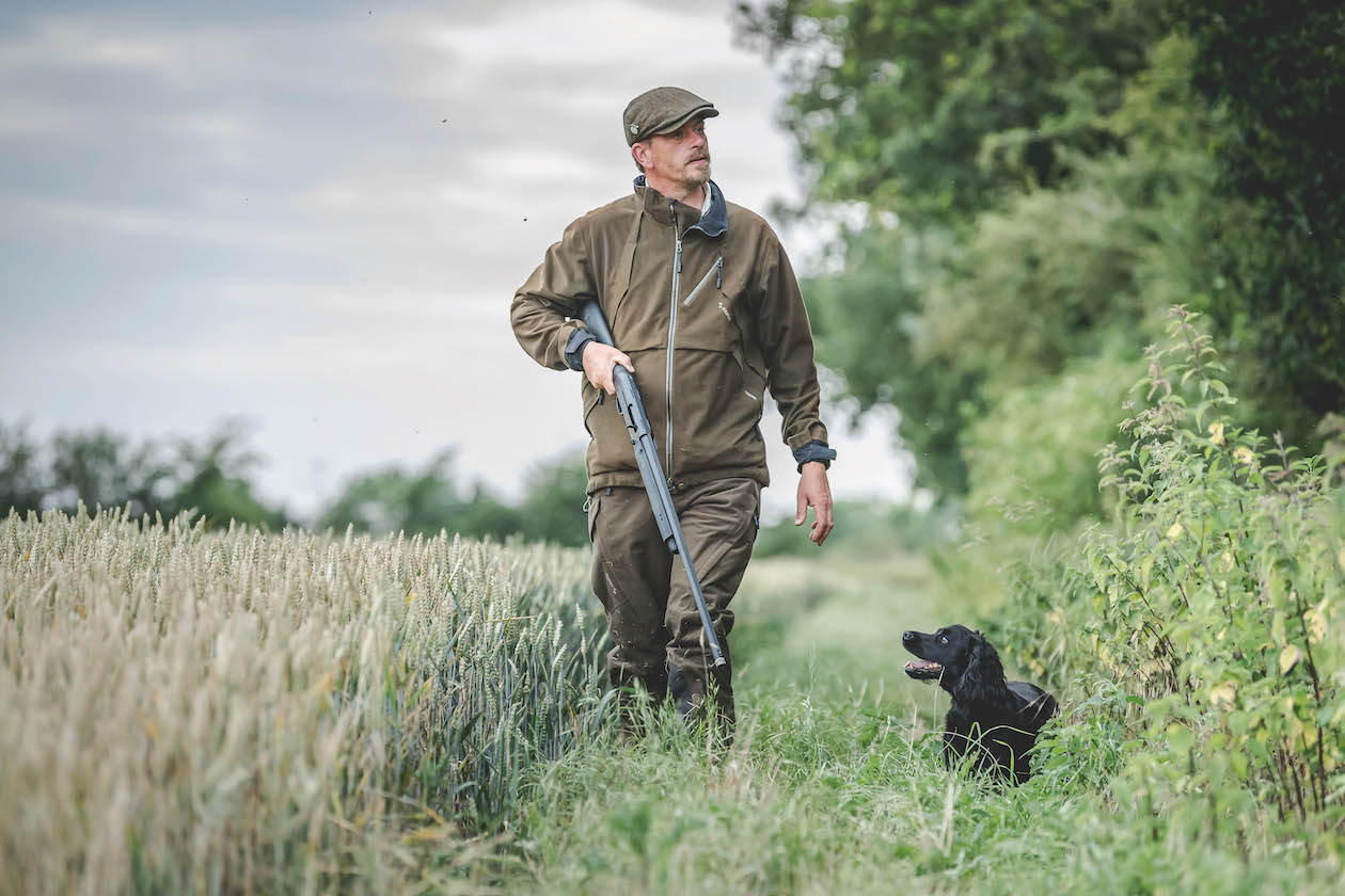 Cocker spaniel in field