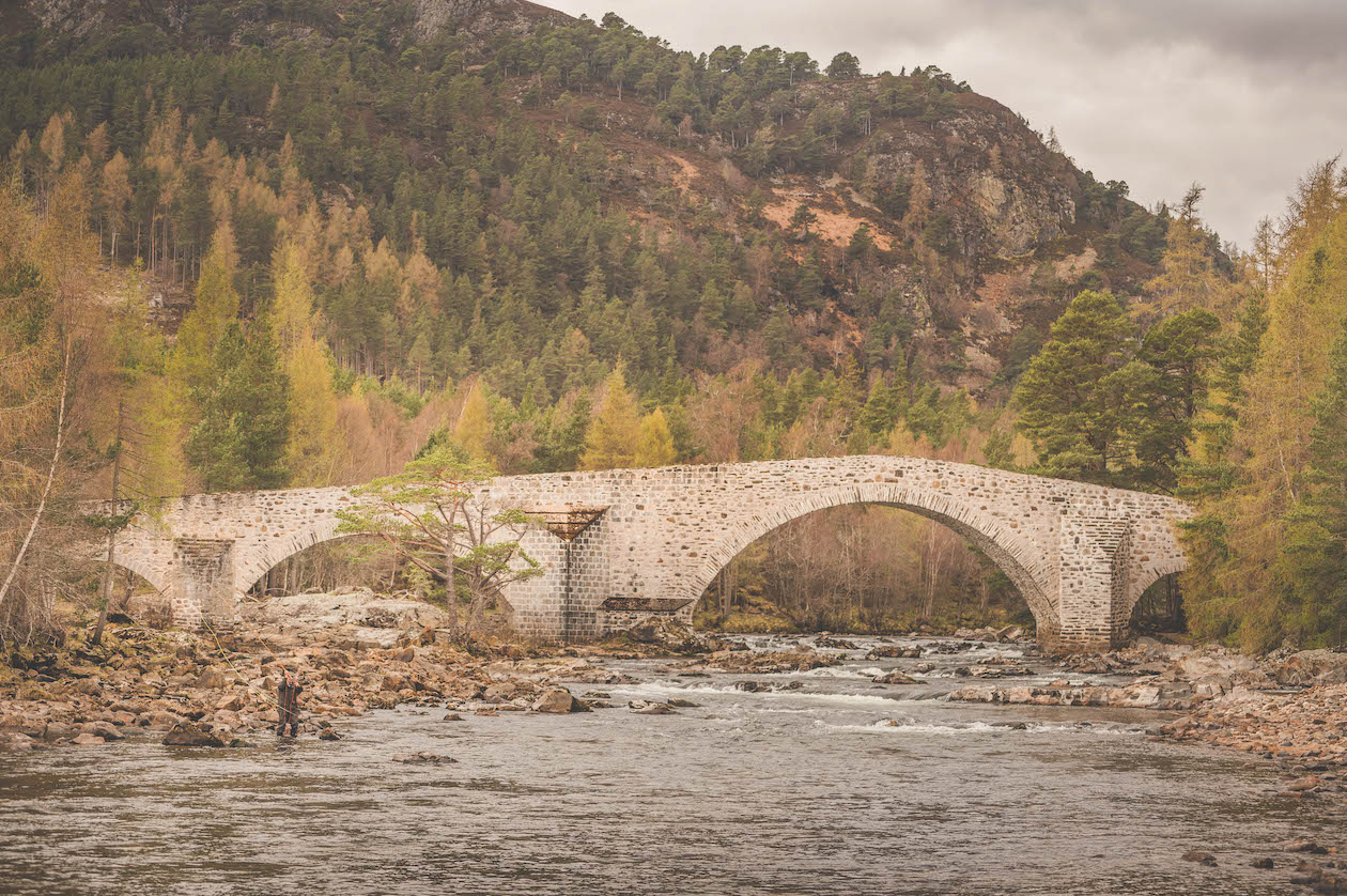 salmon casting