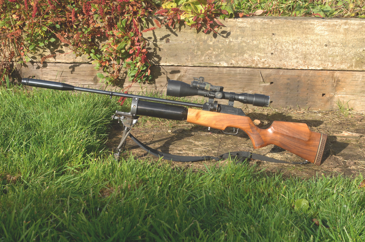 . 25 calibre air rifles and ammunition: a complete guide to hard hitters - Vimarsana News