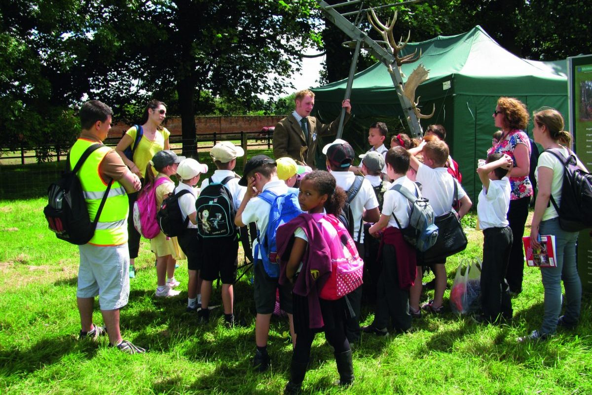 Why countryside education for children is so important - Vimarsana News