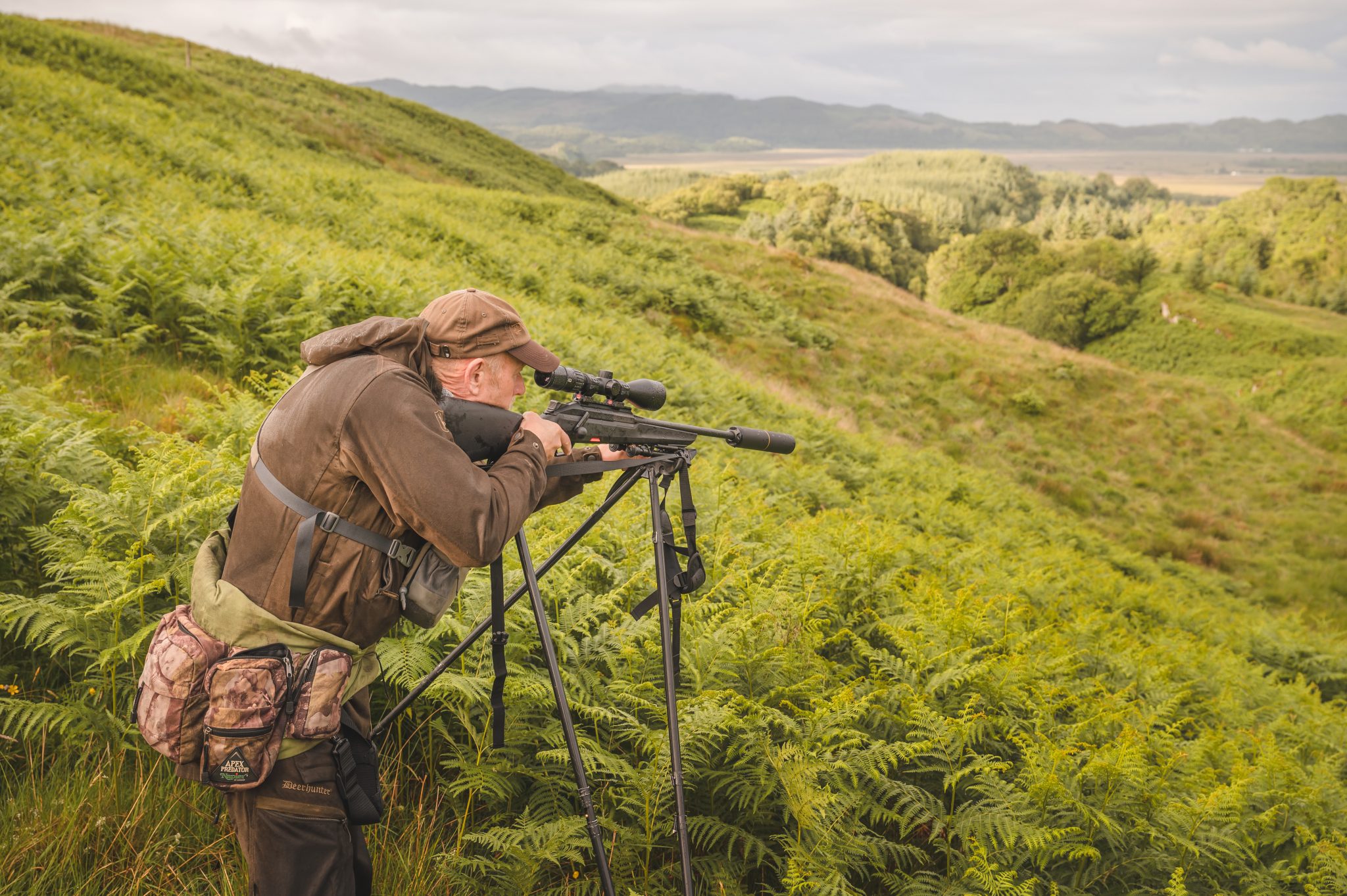Deer stalking in the UK where to go and the equipment you'll need