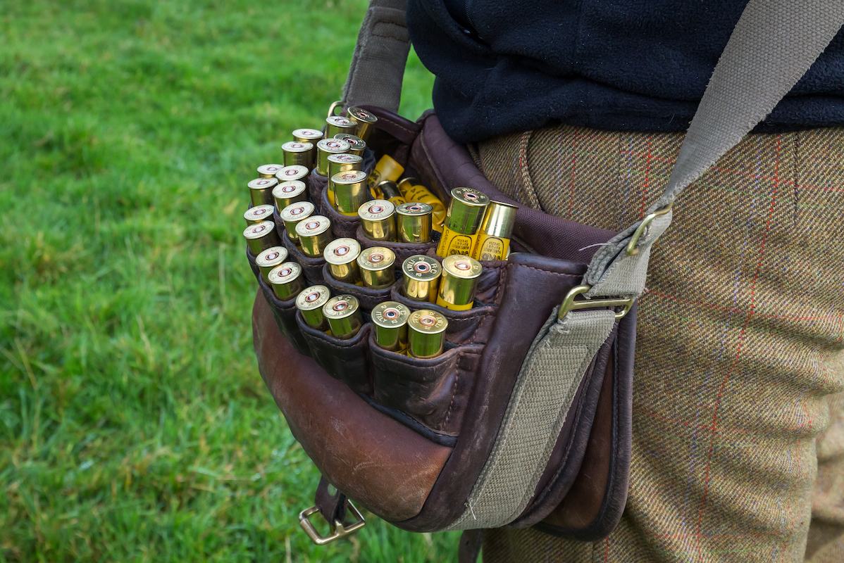 lead shot in cartridge bag