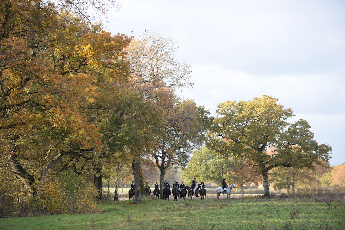 Anti-hunting bodies angered by conviction quashing for former director of Hunting Office - Vimarsana News
