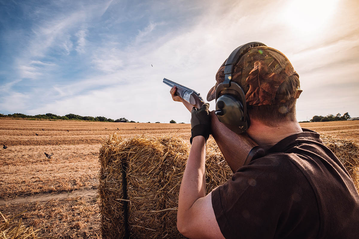 How to use a straw bale hide for pigeon shooting Shooting UK