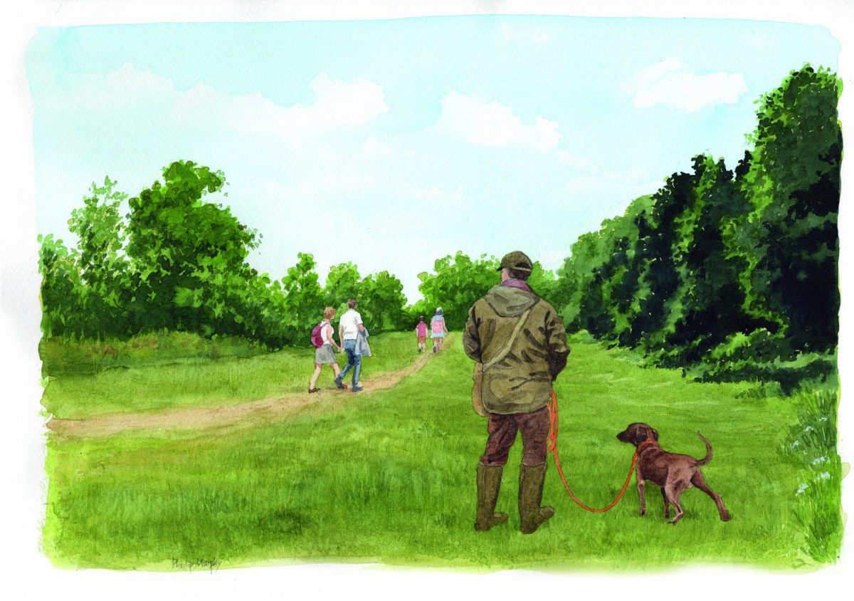 Tracking dogs what potential owners need to be aware of Shooting UK Flipboard