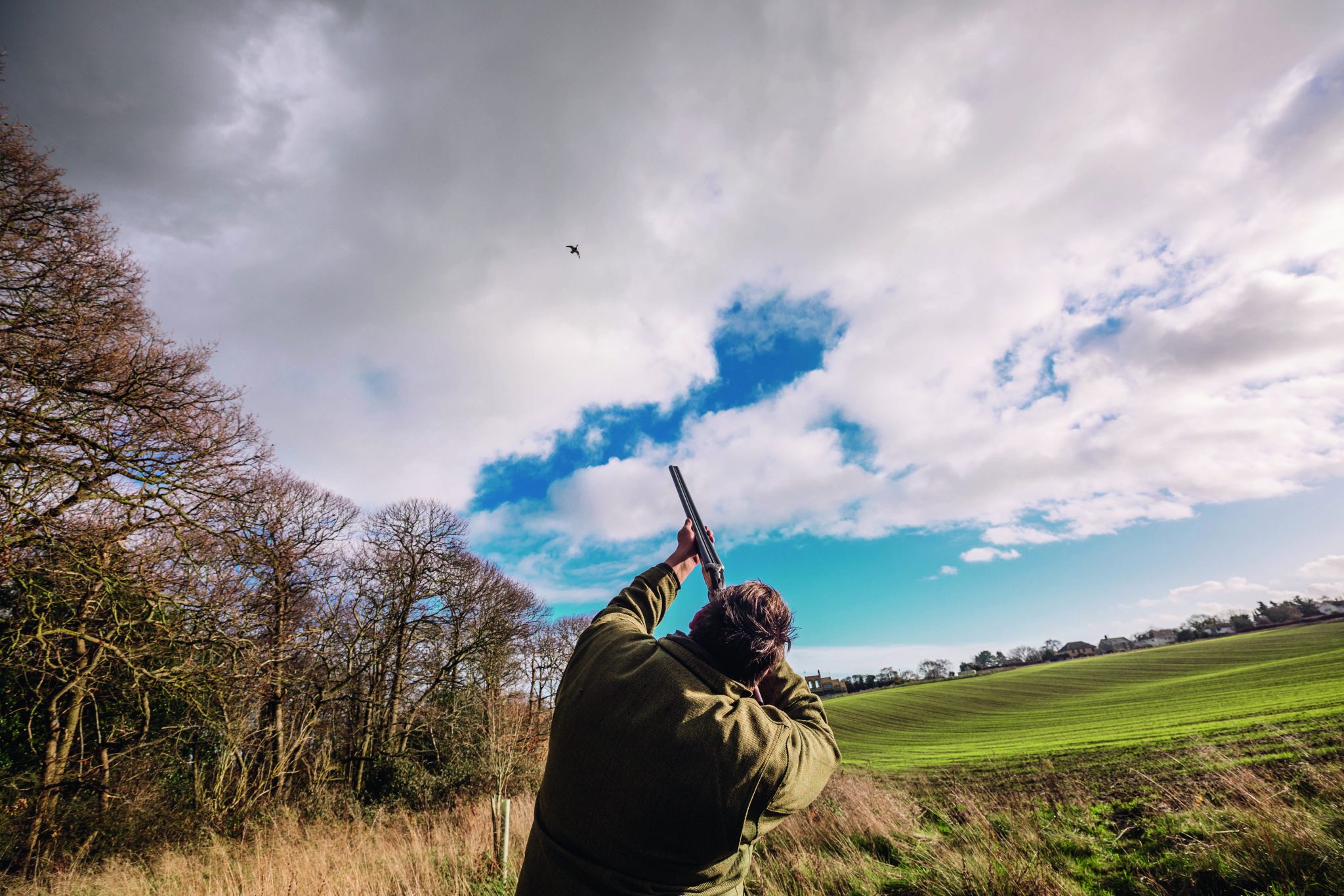 Are people shooting too many ducks? Shooting UK