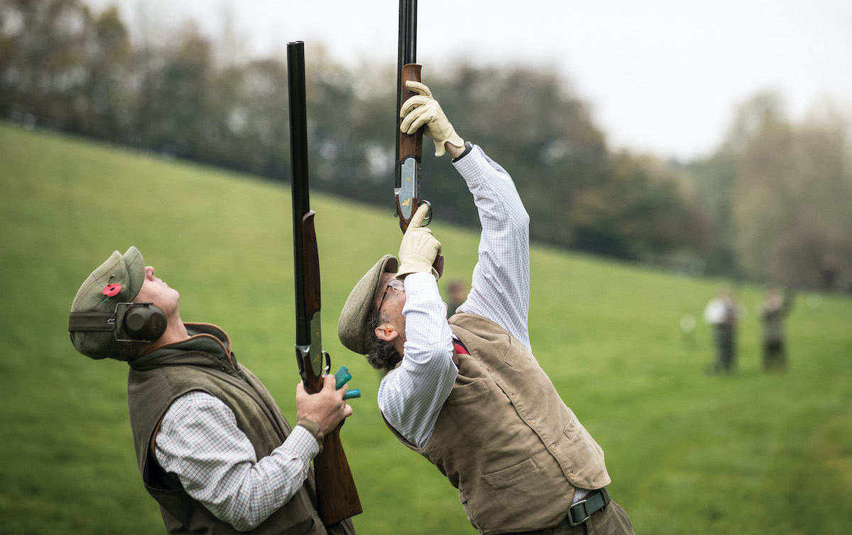 Cartridges for pheasant shooting this season - five to be thinking about - Vimarsana News
