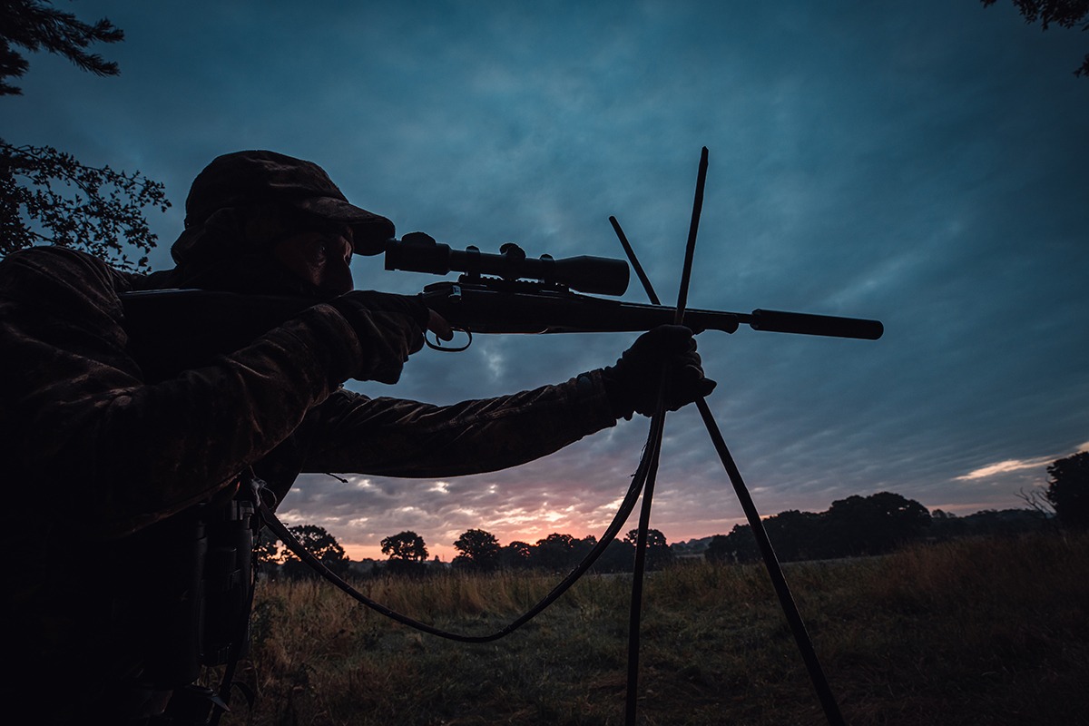 Deer stalking in the UK where to go and the equipment you'll need