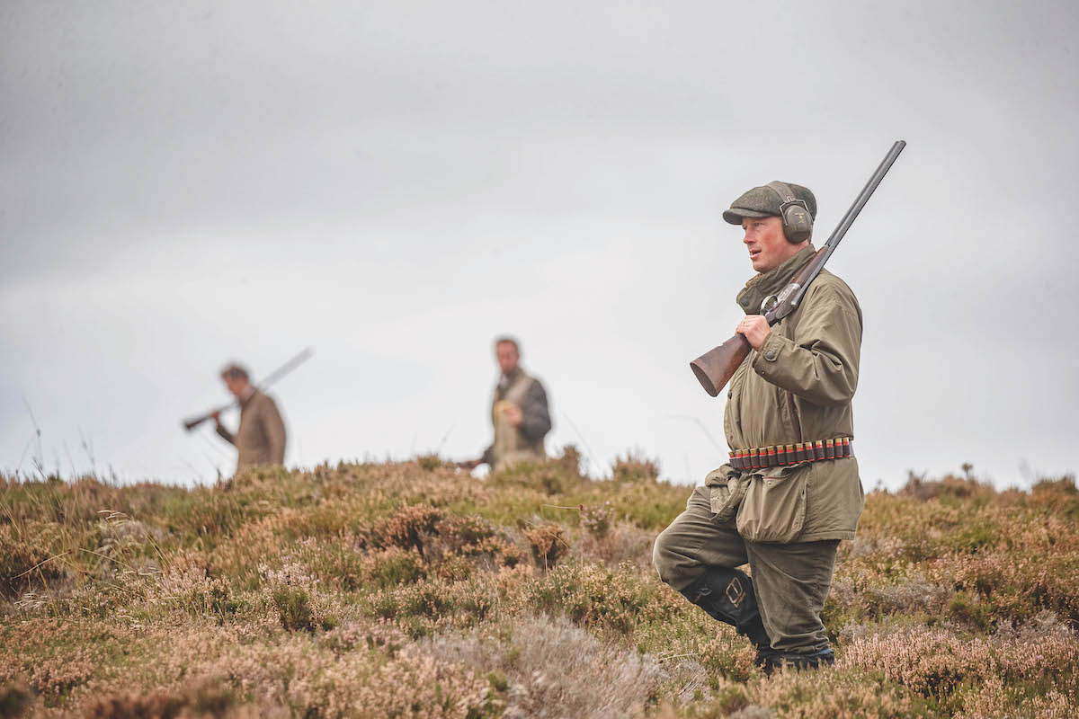 Walked-up grouse day: a great day to be in nature but certainly energetic - Vimarsana News