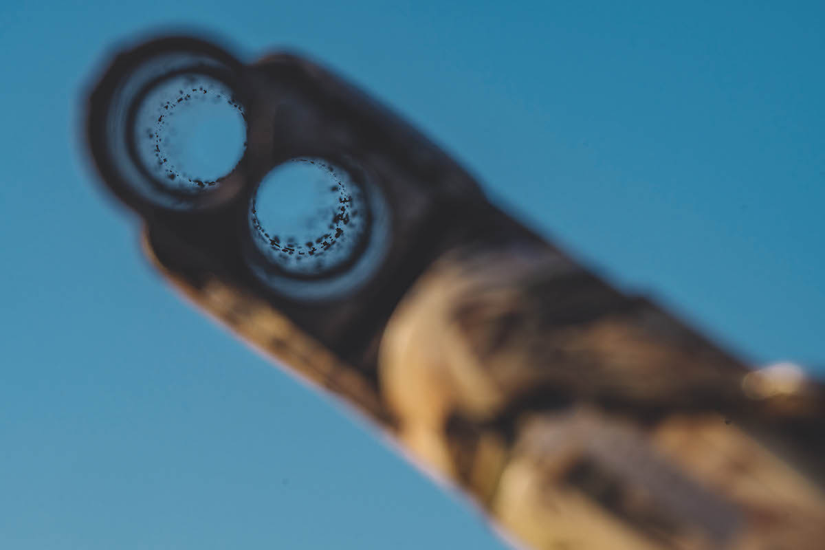 Cartridges for ducks and geese steel loads put to the test