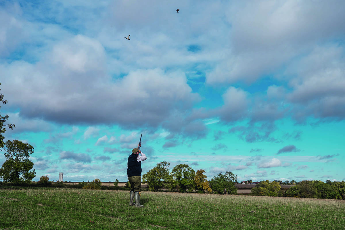 Mallard pancakes recipe - game cookery in the field - Vimarsana News