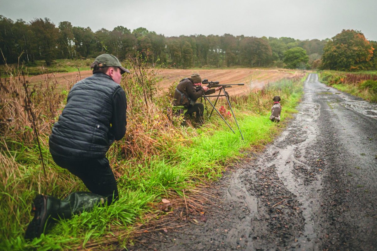 Sharing deer stalking knowledge with the next generation Shooting UK