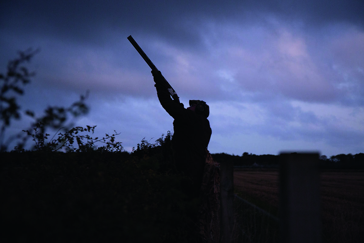Wildfowling for the pinkfooted goose Shooting UK