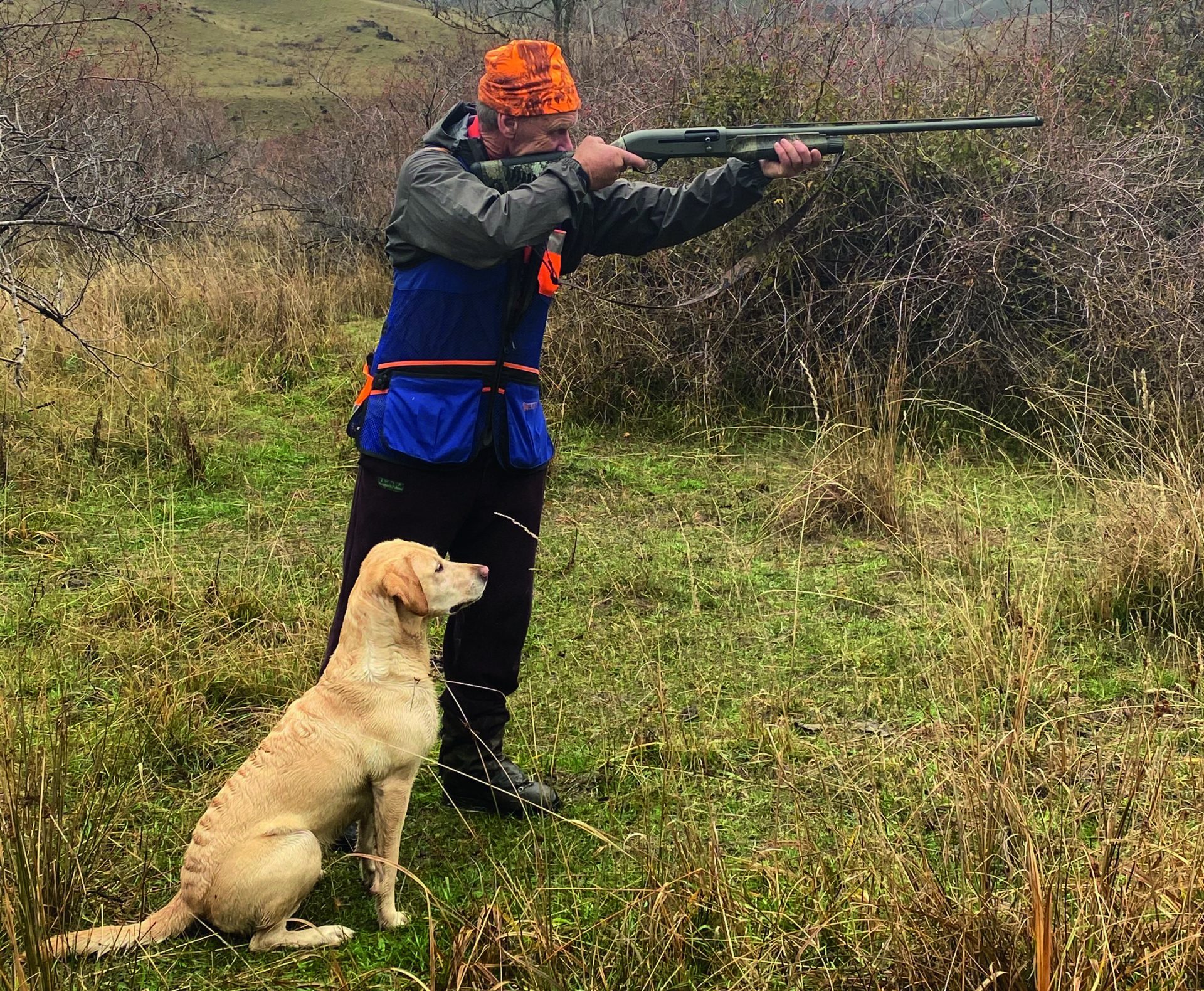 Quail hunting in New Zealand's Awatere Valley Shooting UK