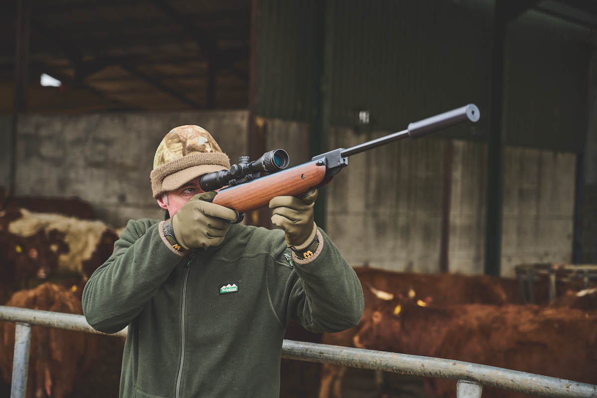 Air rifles under £600 - Mat Manning picks out the best - Vimarsana News