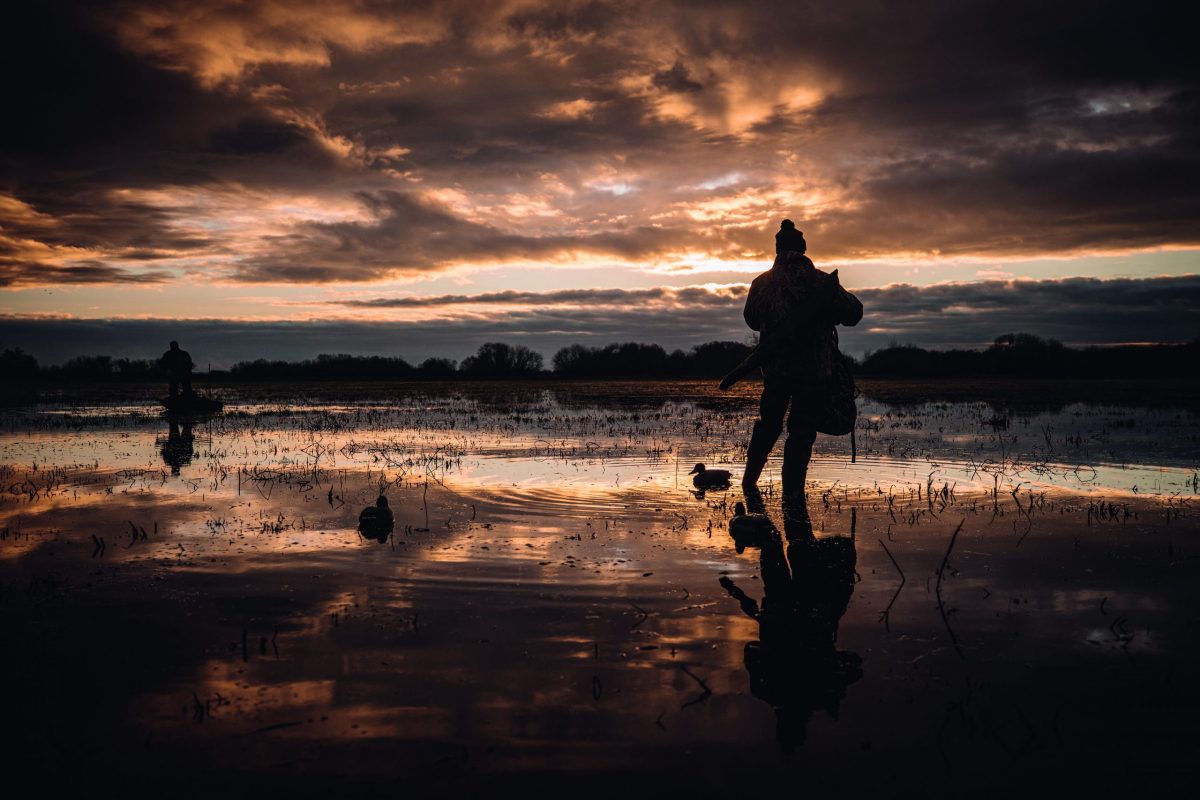How to make your own duck call - Shooting UK - Vimarsana News