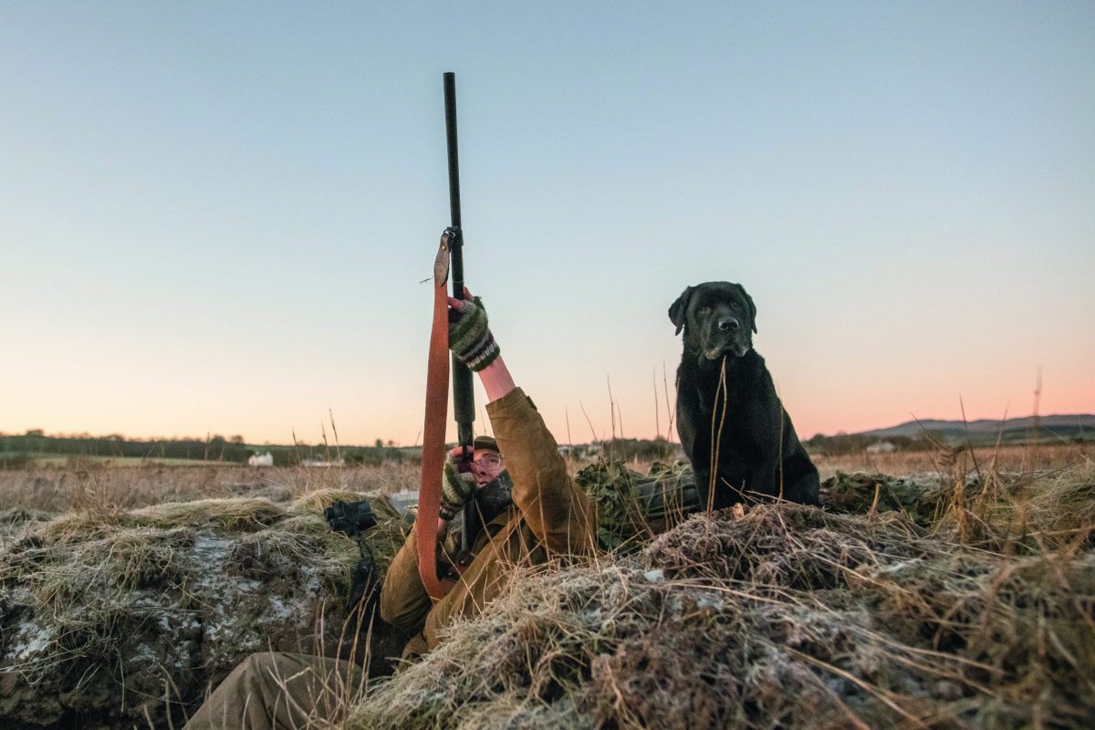 What is the best weather for wildfowling? - Vimarsana News