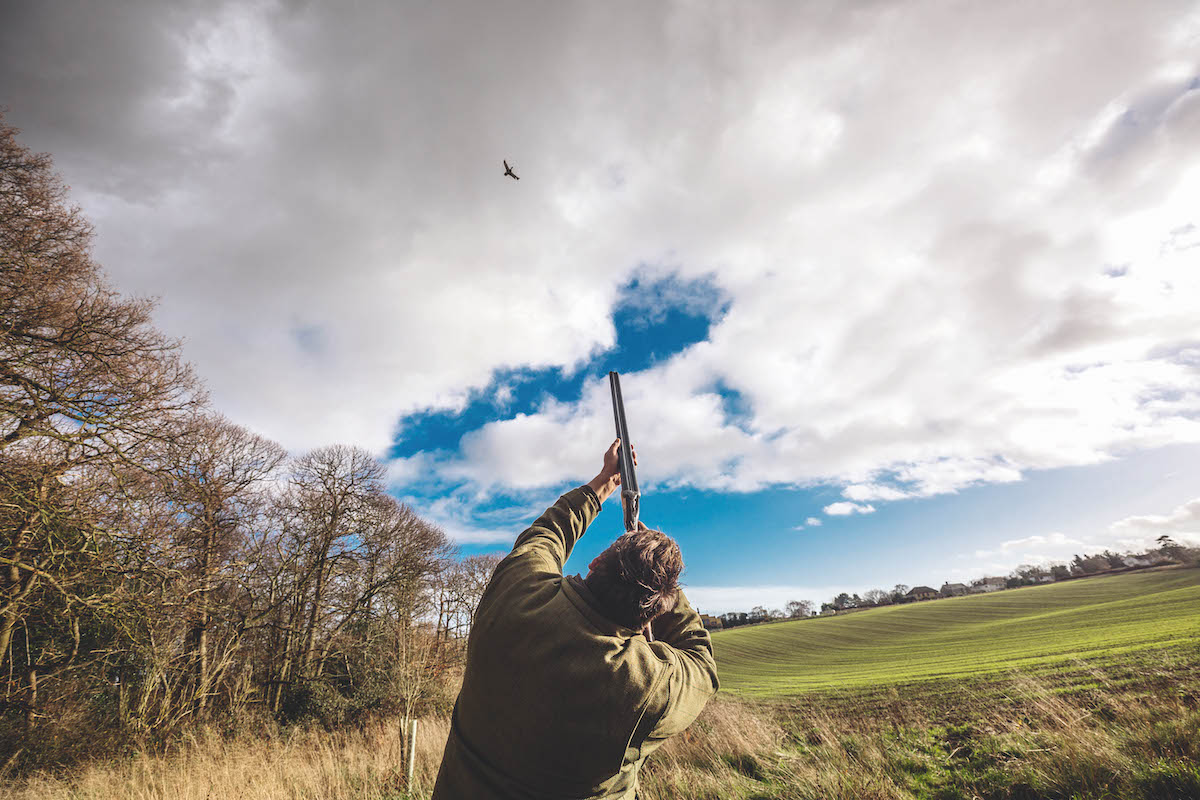 Pricking birds - how to reduce the risk of it in the field - Vimarsana News