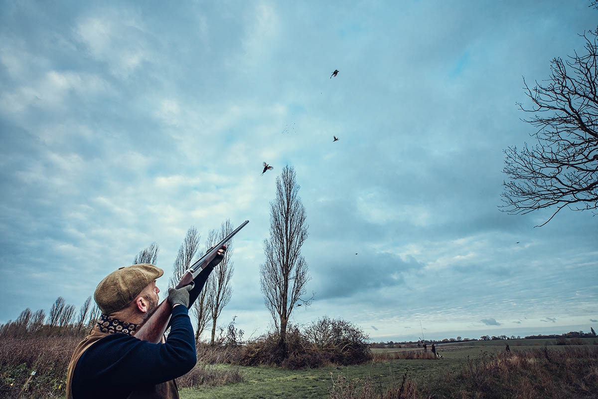 When pheasants won't show over Guns as they should - Vimarsana News