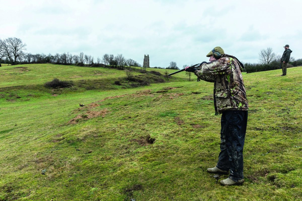 The changing role of rabbits in Britain's ecosystem - Vimarsana News