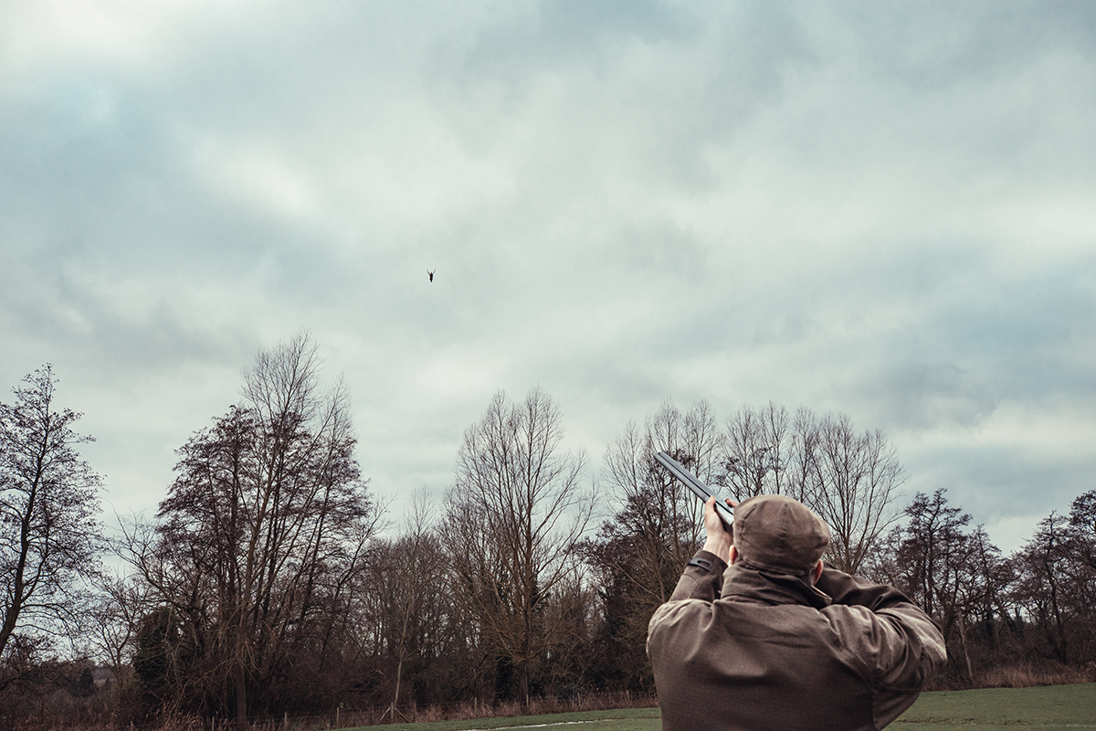 The role of the wildbird keeper in rewilding Shooting UK