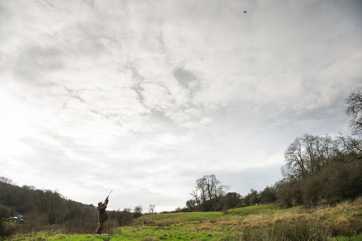 High birds - a true sportsperson will know their limits - Vimarsana News