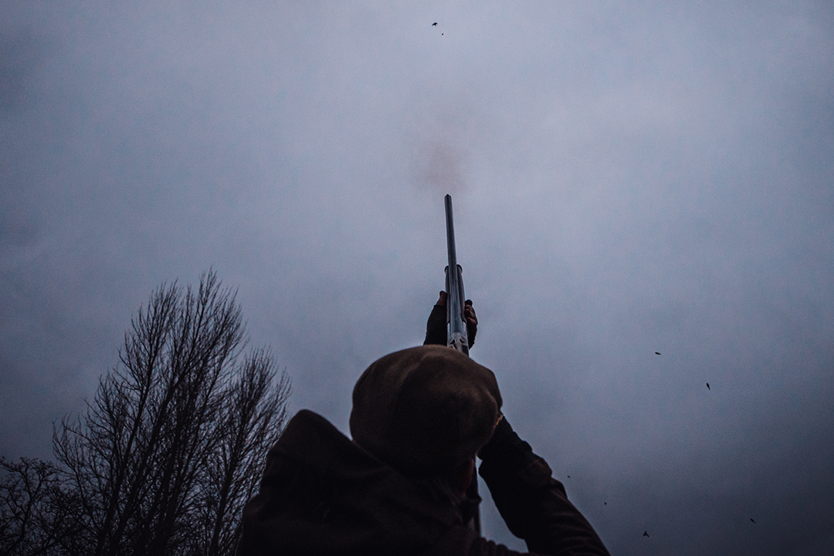 Every shooter should try duck flighting - Vimarsana News