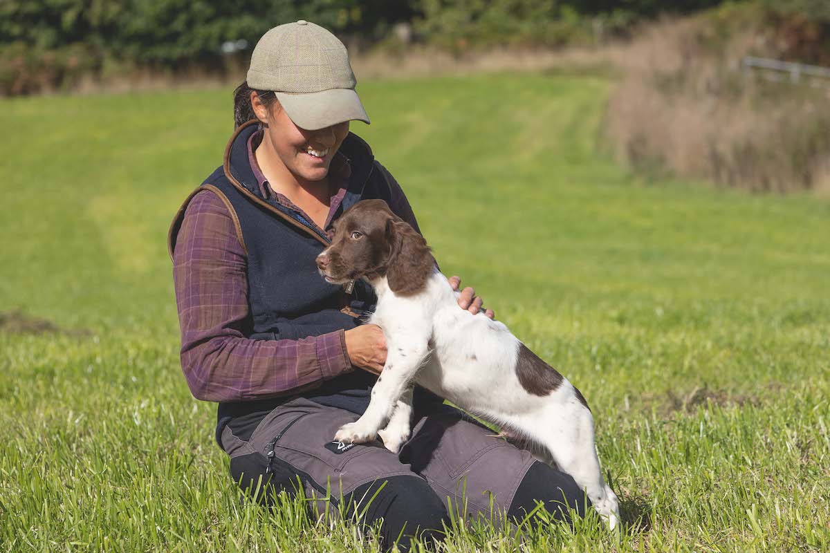 A useful guide to gundog vocabulary and gundog commands