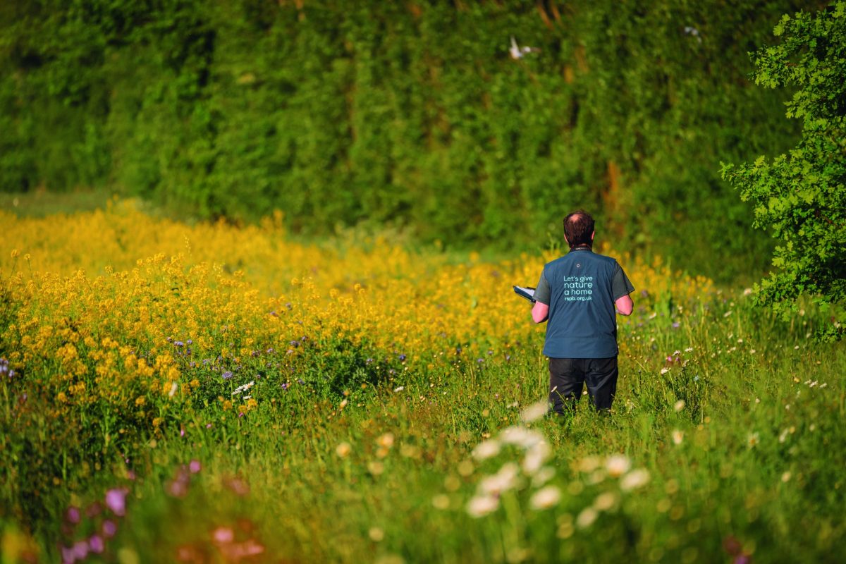 RSPB CEO Beccy Speight interview on shooting and conservation - Vimarsana News