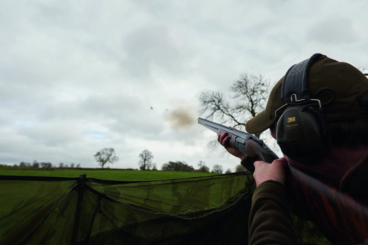 Pigeon control why paying attention to weather matters Shooting UK