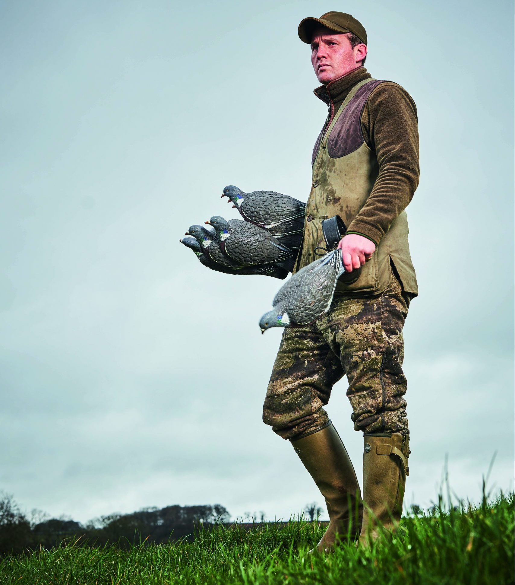 Pigeon control why paying attention to weather matters Shooting UK