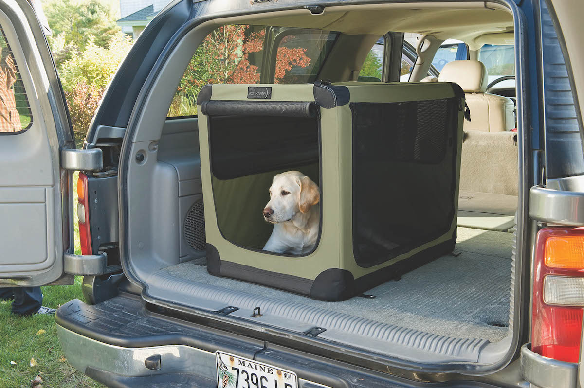 Dogs in vehicles transporting them safely and legally