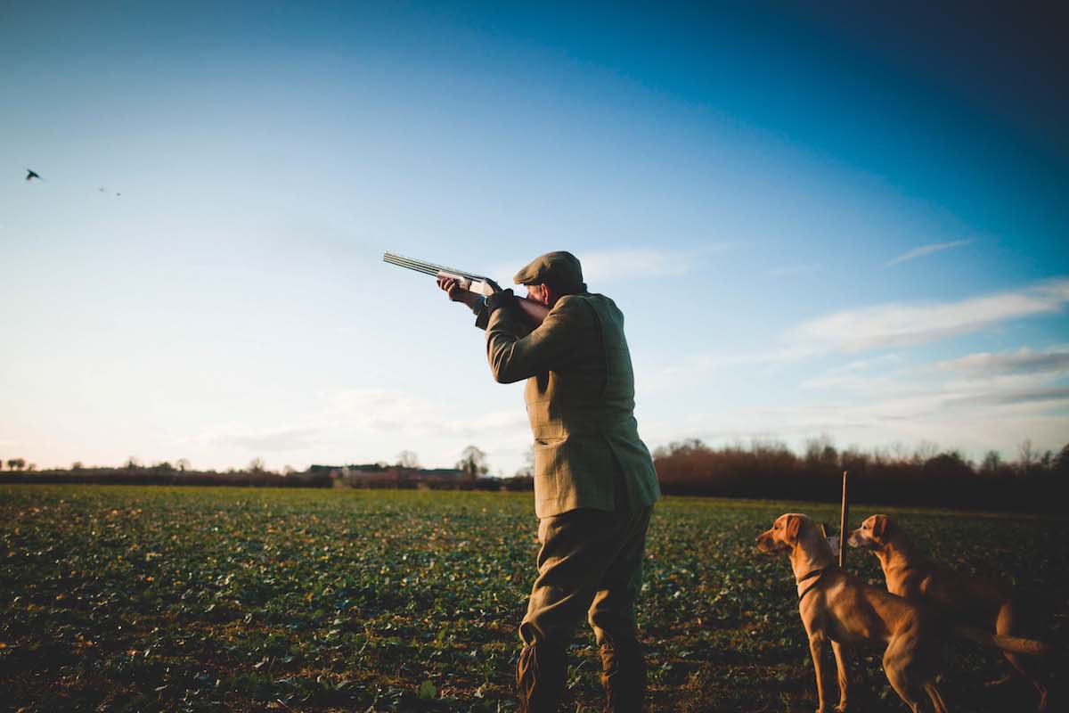 Gun obsolete? Will steel shot make my gun redundant? - Vimarsana News