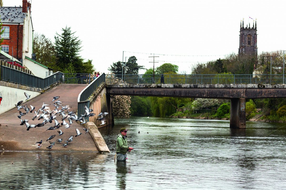 Urban fishing - should you give it a go? - Vimarsana News