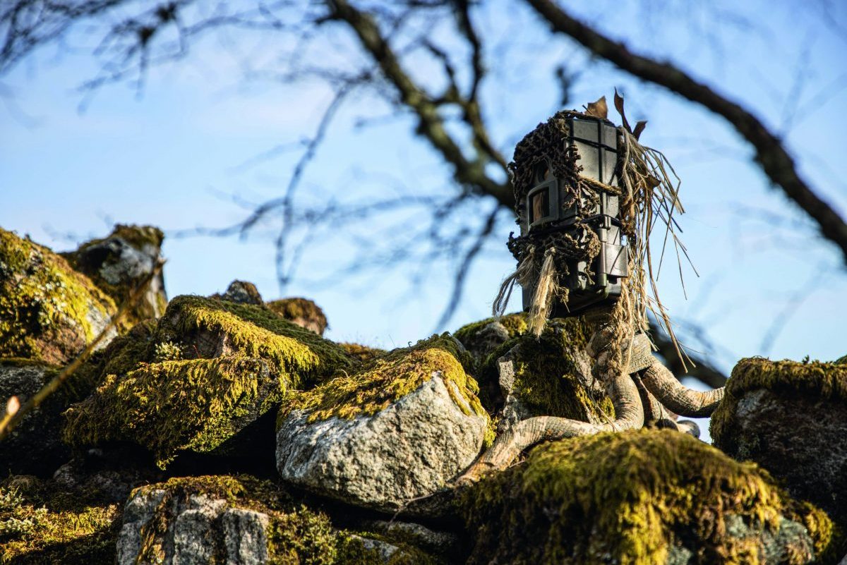 How to get the most out of your trail cameras - Vimarsana News