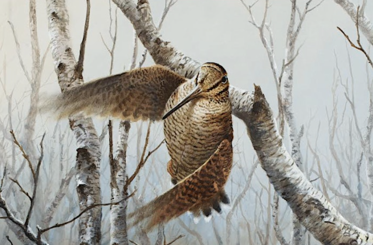 Woodcock Club Dinner 2023 - are you eligible to join? - Vimarsana News