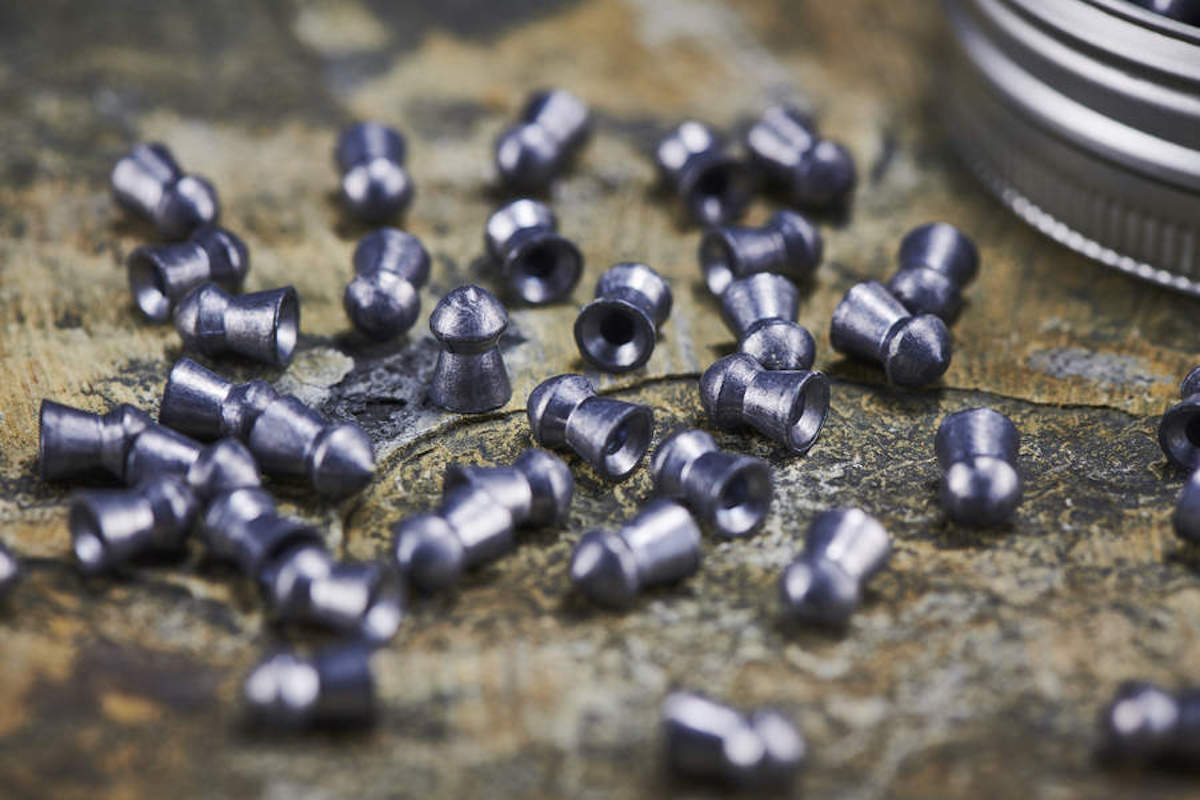 Airgun ammo - some FAQs answered by air rifle experts - Vimarsana News
