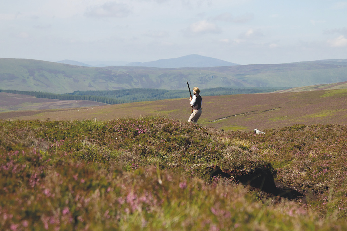 Scottish Water also set to review grouse shooting - Vimarsana News