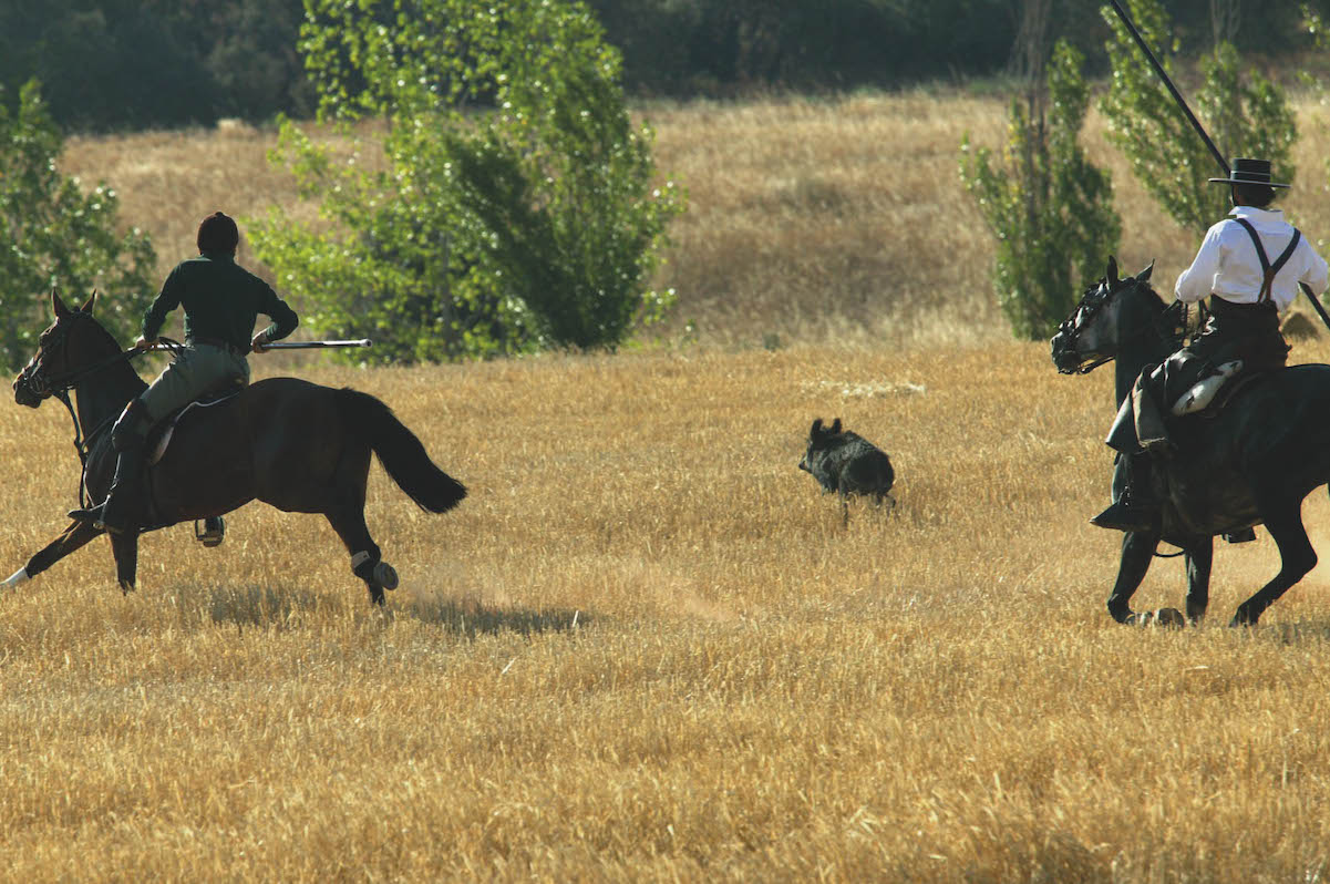 Hunting methods you don't hear of - Vimarsana News